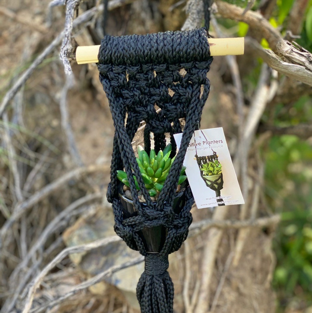 Macrame Plant Hanger